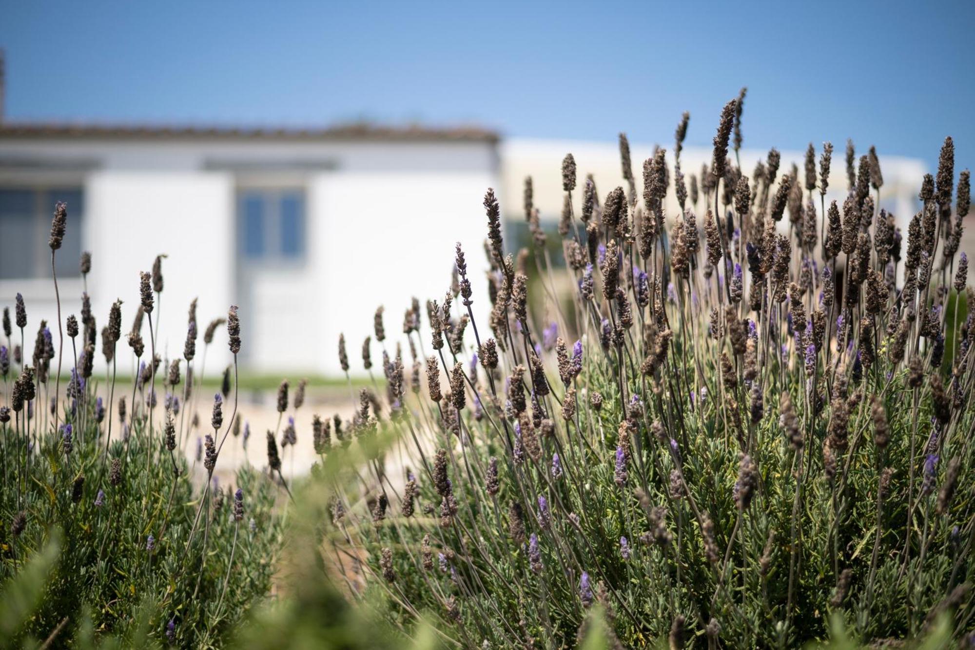 Casa Di Minnanni B&B Santa Teresa Gallura Ngoại thất bức ảnh